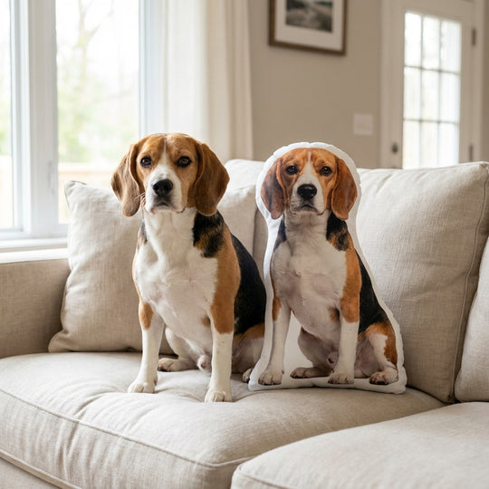 Dog Picture Pillow Custom Personalized