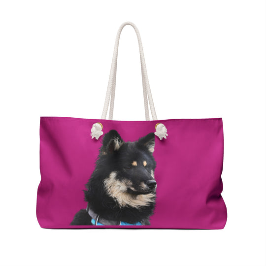 Tote Bag — Black Finnish Lapphund Portrait on Fuchsia Background