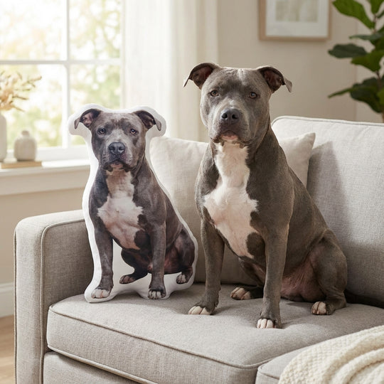 Custom Dog Pillow From Photo Best Memorial Gift For Dog Owners