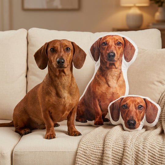 Custom Dog Pillow Premium Quality Personalized