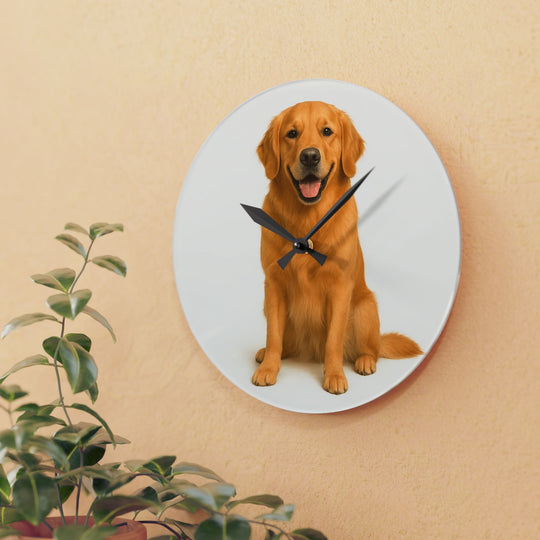 Custom Pet Memorial Acrylic Wall Clock | Personalized Tribute Gift