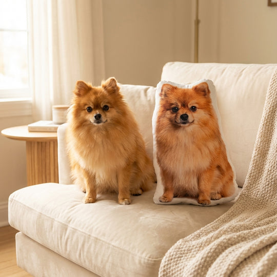 Dog Photo Pillow Custom Personalized