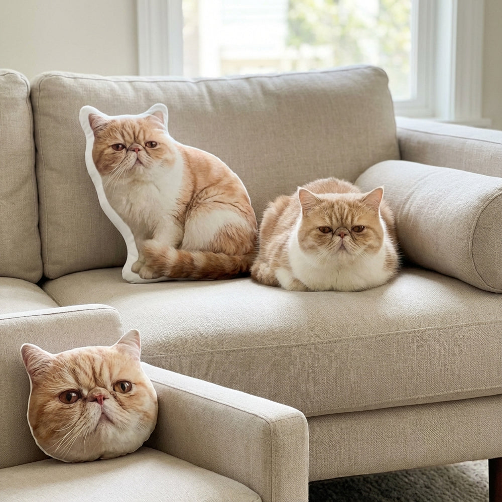 Custom Pet Photo Pillow That Looks Like Your Pet