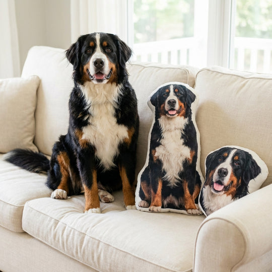 Custom Dog Pillow From Picture High Quality
