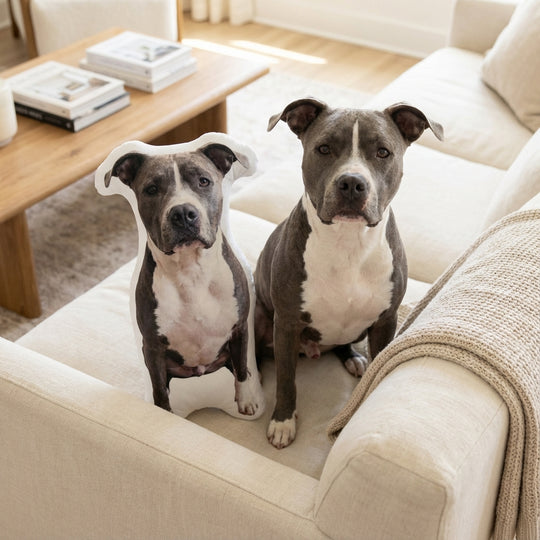 Custom Dog Pillow From Photo Best Memorial Gift For Dog Owners