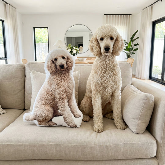 Personalized Dog Pillow For Home Decor