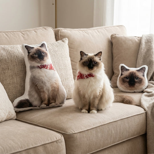 Custom Cat Photo Pillow High Quality Personalized Cushion