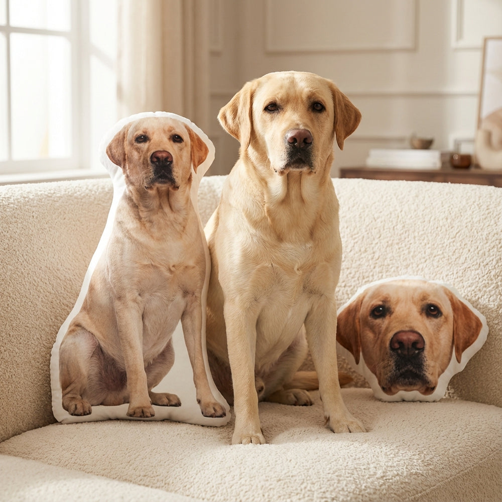 Custom Dog Pillow Photo To Pillow
