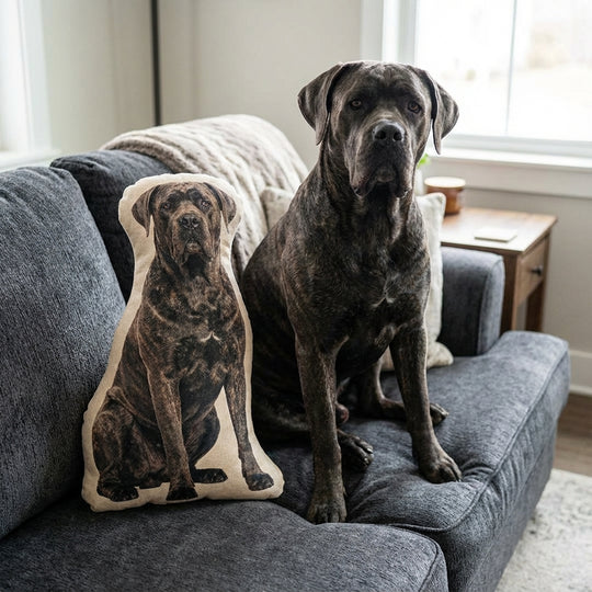 Personalized Dog Pillow Memorial Gift