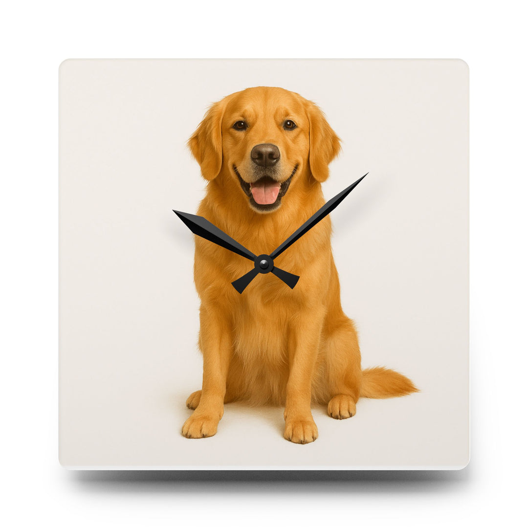 Custom Pet Memorial Acrylic Wall Clock | Personalized Tribute Gift