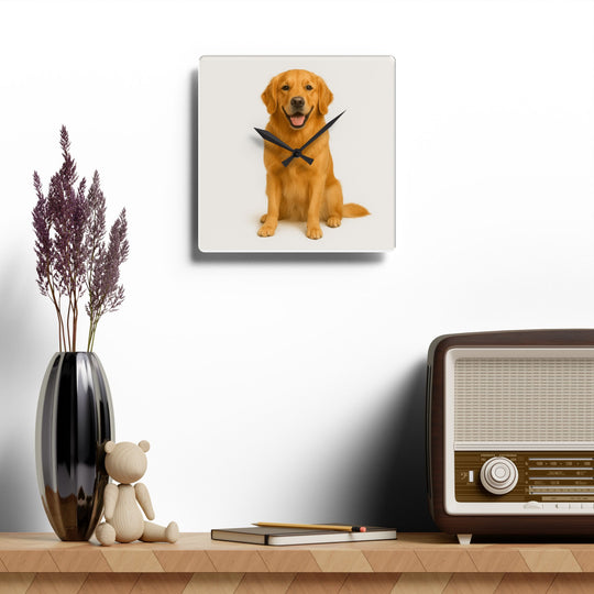 Custom Pet Memorial Acrylic Wall Clock | Personalized Tribute Gift