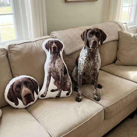 Personalized Dog Pillow Custom Pet Gift