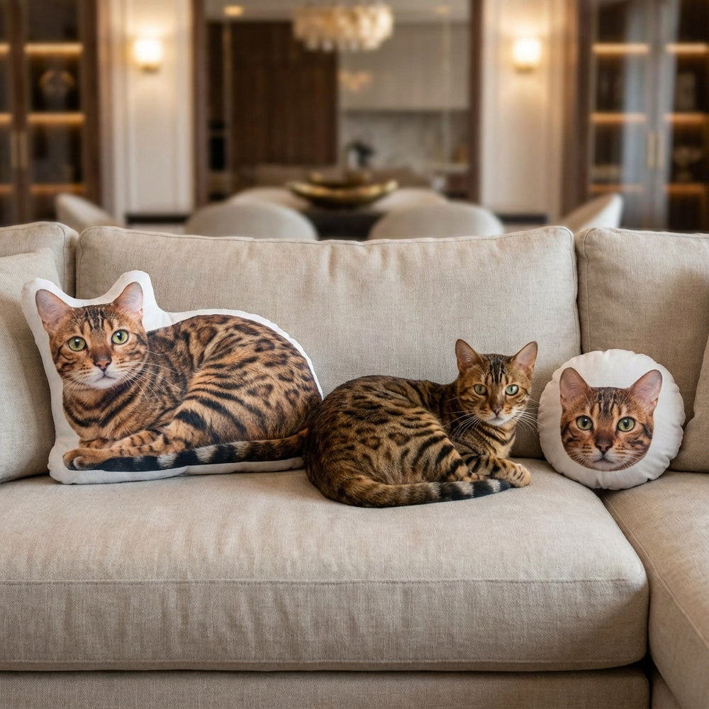 Personalized Cat Pillow Create A Cat Shaped Pillow From Photo