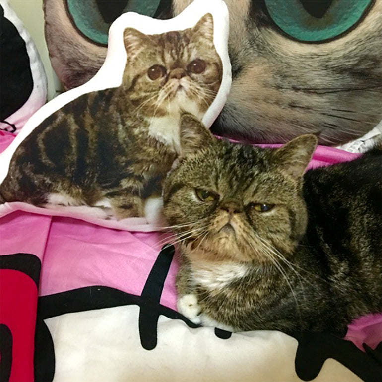 Custom Pet Shape Body Pillow | Hug Your Pet Anytime