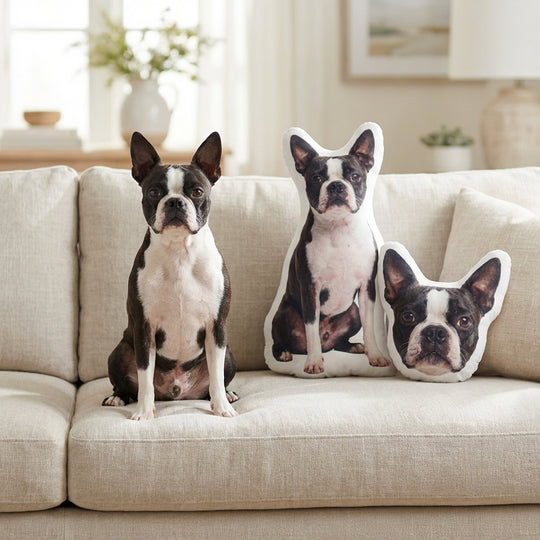 Custom Dog Pillow Made To Look Like Your Dog