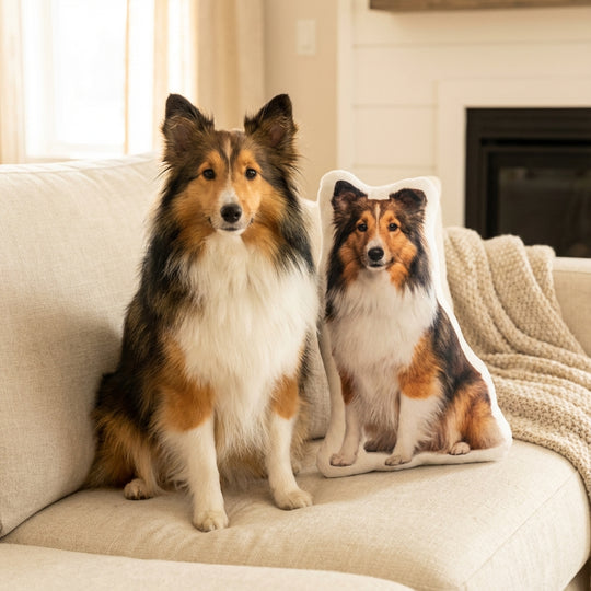 Custom Dog Pillow Memorial From Photo