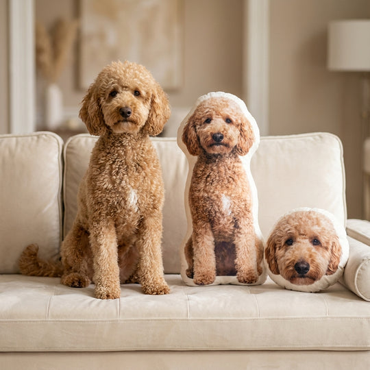 Personalized Dog Pillow For Home Decor