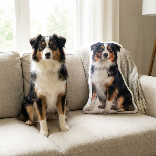 Personalized Pet Pillow Custom Dog Photo