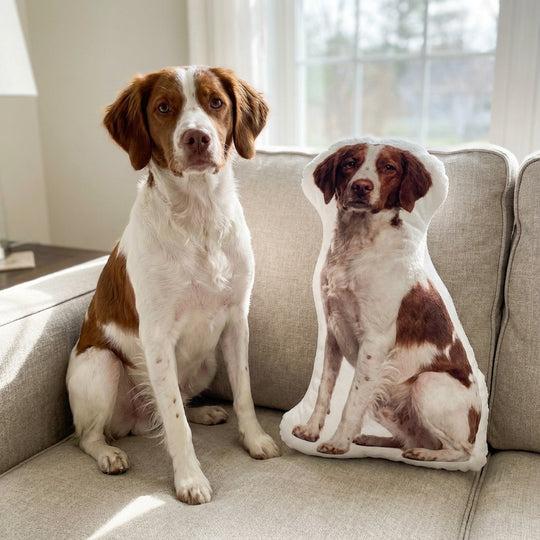 Personalized Dog Photo Pillow Custom Made