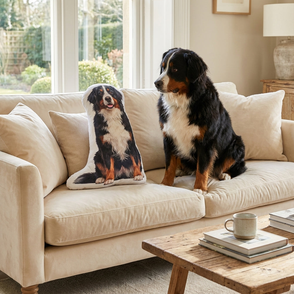 Custom Dog Pillow From Picture High Quality