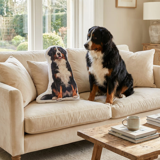 Custom Dog Pillow From Picture High Quality