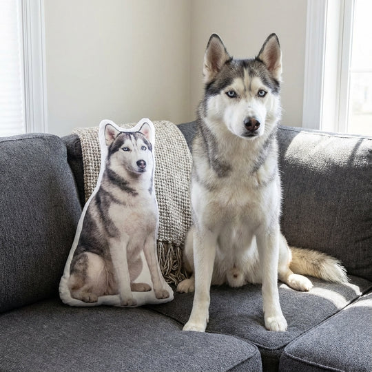 Custom Dog Pillow With Realistic Print