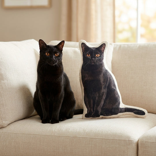 Custom Cat Pillow From Photo Designed To Look Just Like Your Cat