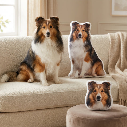 Custom Dog Pillow Memorial From Photo