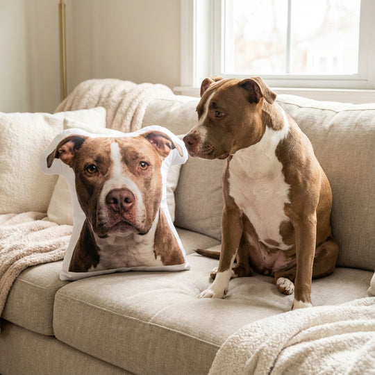 Custom Dog Pillow From Photo Best Memorial Gift For Dog Owners