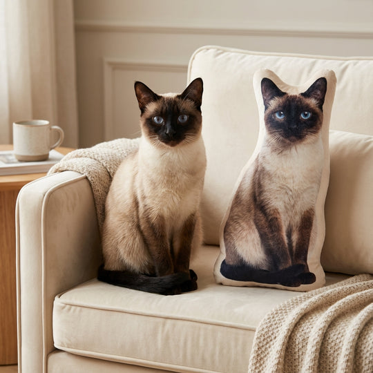 Custom Cat Pillow From Photo Create a Lifelike Pillow of Your Cat