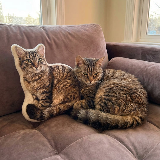 Personalized Cat Photo Pillow Soft Plush Cat Shaped Cushion
