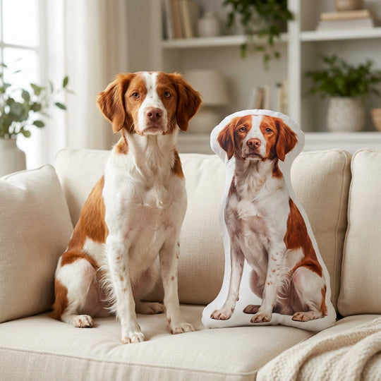 Personalized Dog Photo Pillow Custom Made