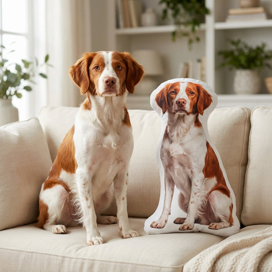 Pet next to its custom pet shaped pillow