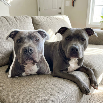 Custom Pet Face Pillow from Your Pet Photo