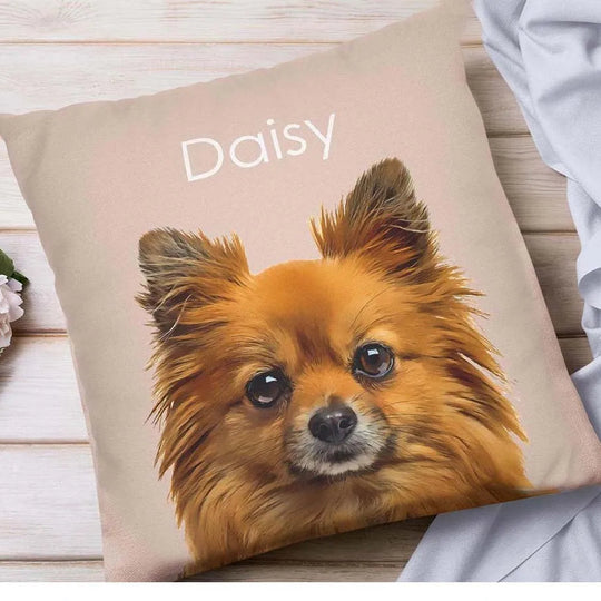 Customized 3D Cat/Dog Name Pillow