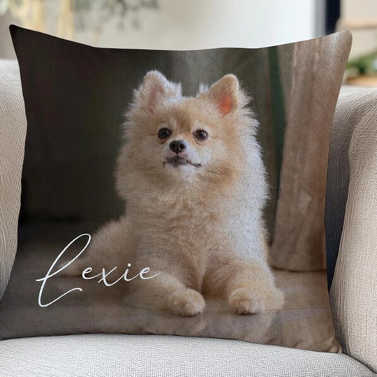 Custom Pet Memorial Pillow