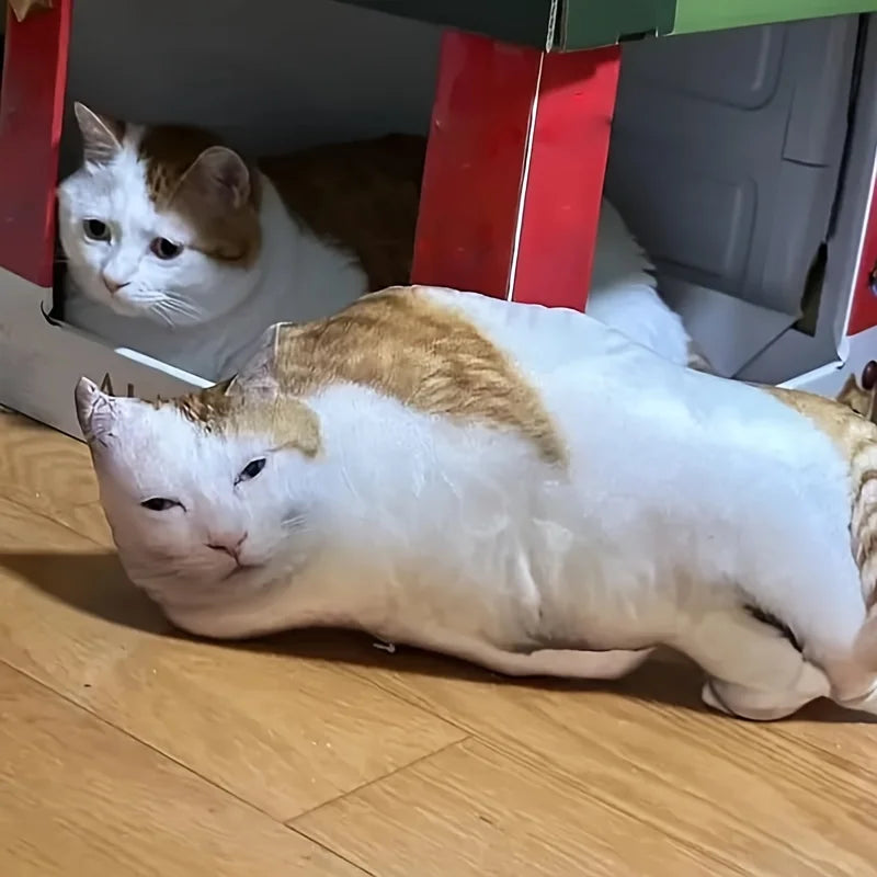 Custom Ugly Pet Pillow