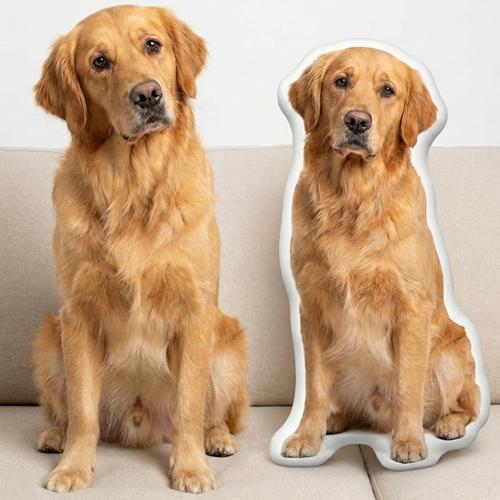 Custom Pet Pillows
