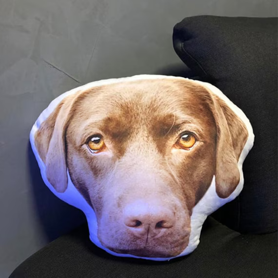 Dog face pillow