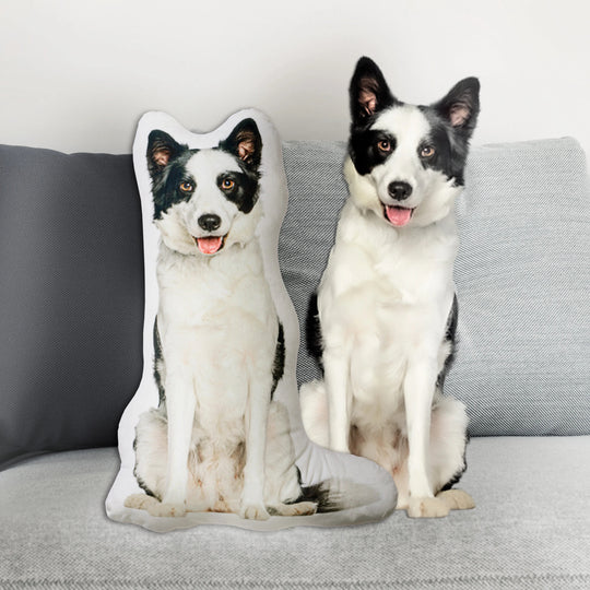 Dog Photo Pillow Hug Your Best Friend Forever