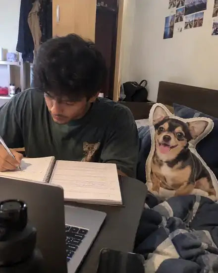 Chihuahua shaped pillow on a bed next to a student